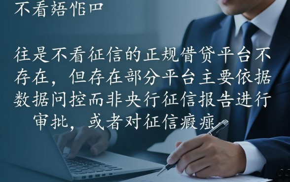 有什么不看征信能借款的平台，不看征信借款2026哪个靠谱