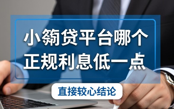 小额网贷平台哪个正规，利息低一点的平台有哪些