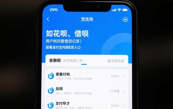 芝麻信用怎么查贷款情况，如何查询贷款记录