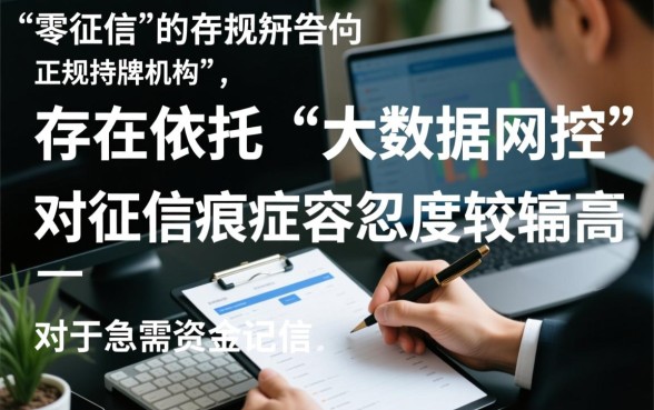 不看信用分的小额贷款平台有哪些，2026不看征信的网贷口子