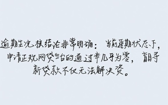 当前逾期可以做什么网贷平台，逾期了还有哪些口子能下