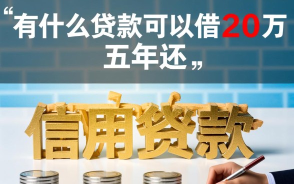 有什么贷款可以借20万 五年还