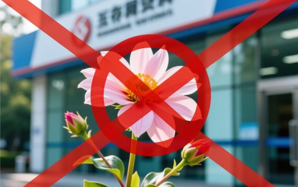 征信花可以下款的网贷口子有哪些，2026年不看征信的贷款平台有哪些