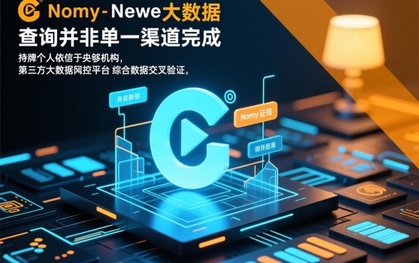 网贷大数据怎么查，通过什么平台查询详细记录？