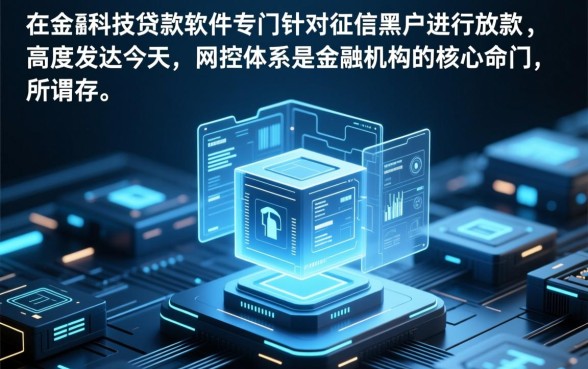 黑户网上哪个可以贷款的软件，黑户能下款的口子有哪些