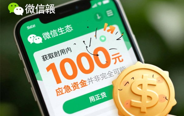 黑户1000元小额微信借钱能借吗，哪里申请不用审核秒到账
