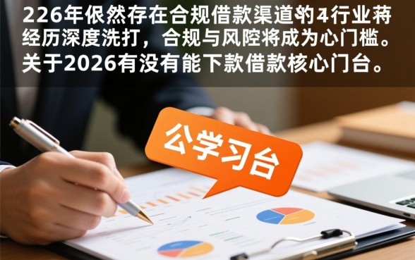 2026有没有能下款的借款平台