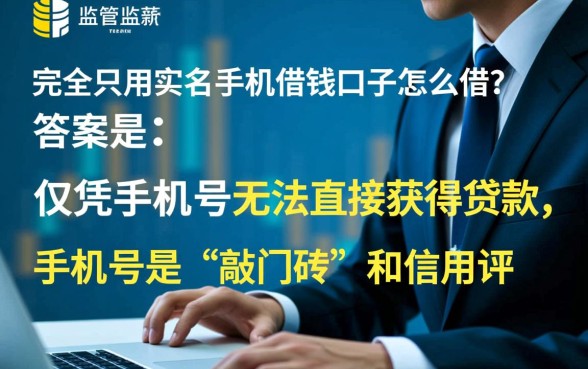 只用实名手机借钱口子怎么借，哪个平台能秒下款