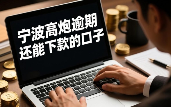 宁波高炮逾期还能下款的口子有哪些，2026哪里有必下渠道？