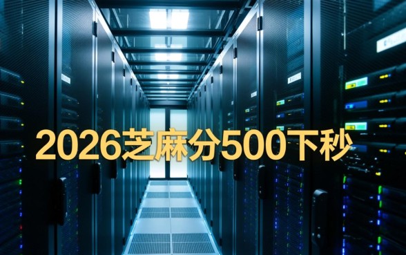 2026芝麻分500秒下的口子有哪些，怎么借容易下款？