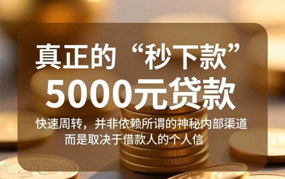 秒下款5000的贷款口子有哪些，急需5000怎么快速申请？
