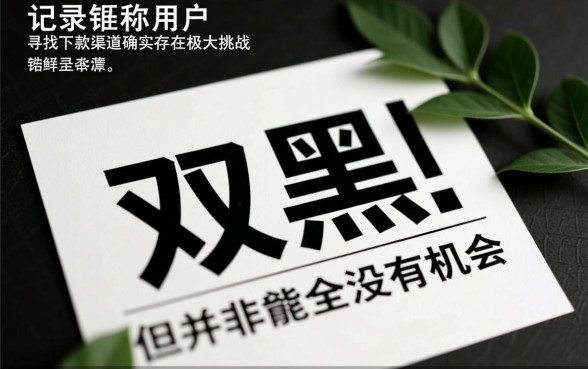 双黑可以下款的口子有哪些？最近新的口子怎么申请？