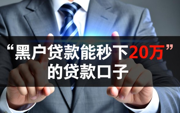 黑户贷款能秒下20万的贷款口子