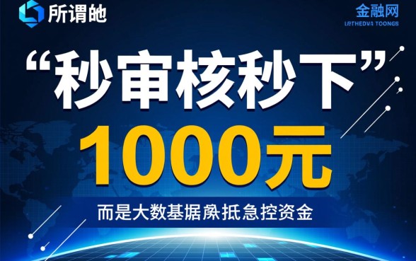 秒审核秒下1000的口子有哪些，真的能下款吗