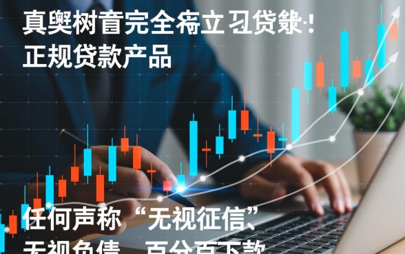 有哪些无视负债秒下款的贷款口子，2026不看征信的网贷有哪些？