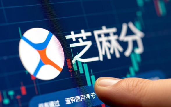 用身份证无视芝麻分的网贷新口子有哪些，怎么申请最快？