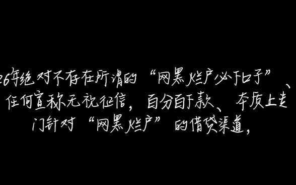 2026有网黑烂户必下的口子吗，哪里能借到钱？