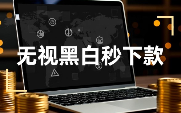 2026最新无视黑白秒下款口子