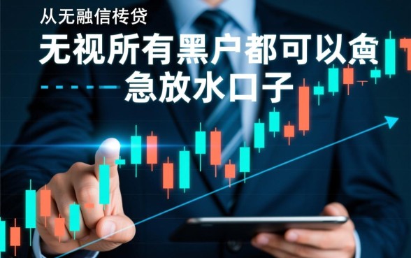 无视所有黑户都可以申请放水口子