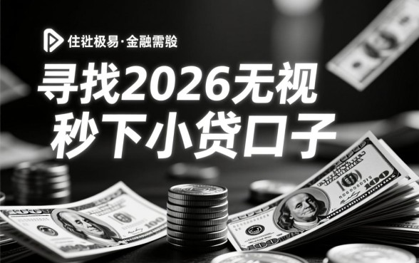 2026无视黑白的秒下小贷口子有哪些？2026年无视黑白能下款吗？