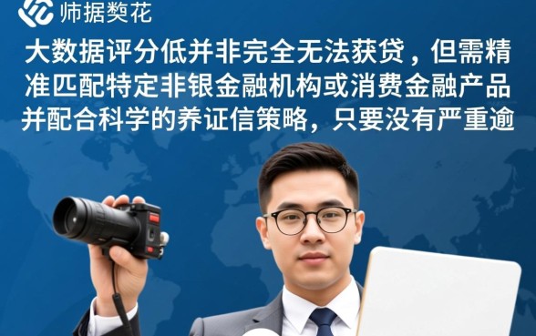 征信花大数据花也能下的口子，哪里有必下款的口子？