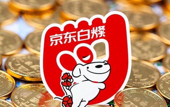 京东面临逾期怎么协商延期还款，具体流程是什么？