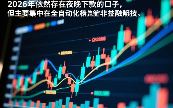 2026有夜晚下款的口子吗，2026晚上秒批的口子有哪些