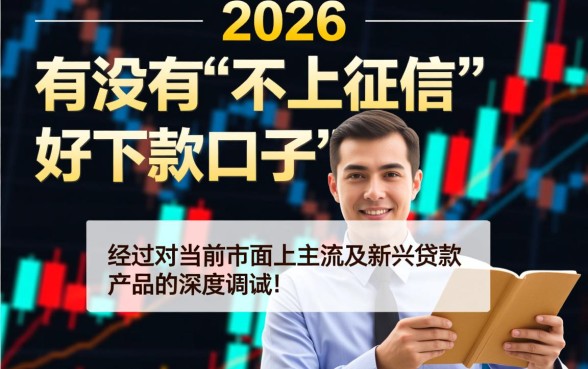 有没有不上征信好下款的口子