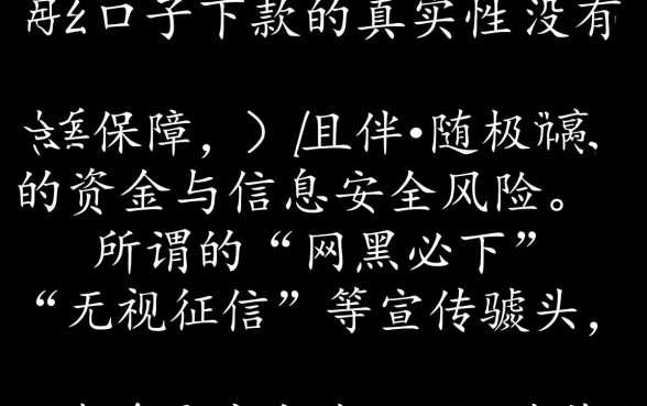 网黑口子下款的真实性有保障吗，真的能下款吗