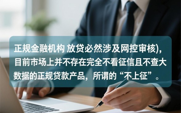 现在哪个贷款不上征信大数据的，2026正规口子有哪些