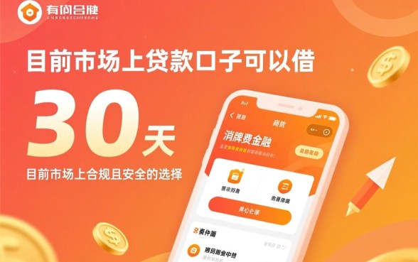 有什么30天的贷款口子，哪里可以借到钱？