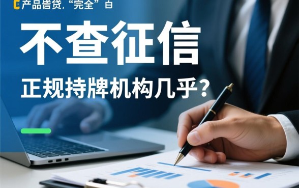 不查征信的网贷有哪些，2026正规分期平台推荐