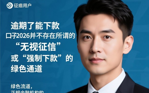 2026逾期了能下款的口子有哪些，哪里可以借到