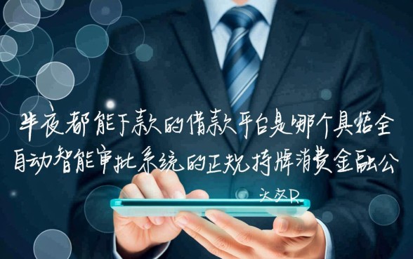 半夜都能下款的借款平台是哪个，晚上能借到的正规口子有哪些