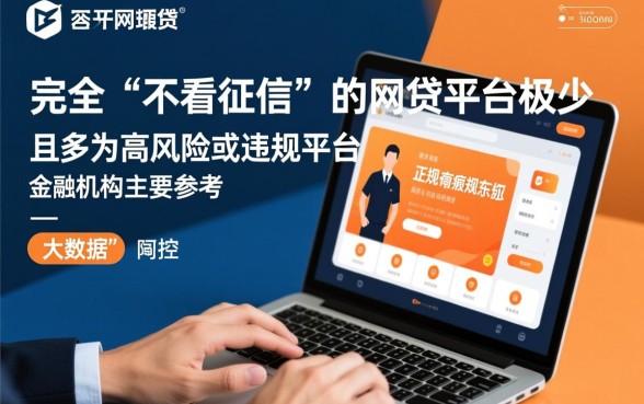 小网贷有哪些平台不看征信记录，2026不看征信的网贷口子