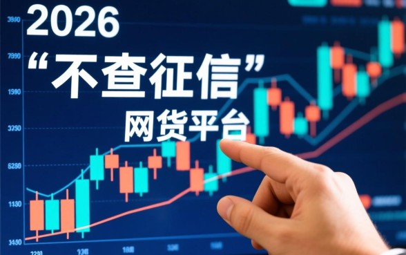 不查正信的网贷平台是哪个公司，不看征信的网贷有哪些