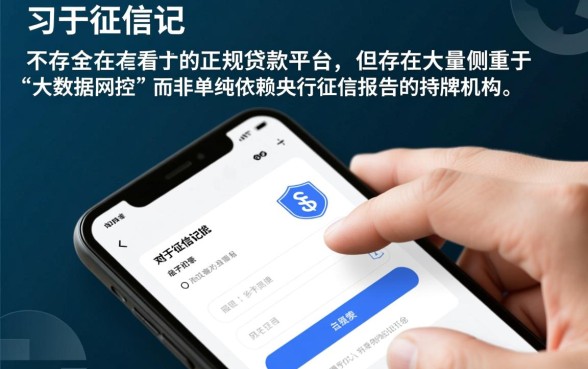 哪个小额贷款平台不看征信记录，正规平台怎么申请