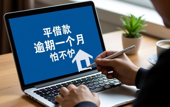 网上平台借款逾期一个月怕不怕，网贷逾期一个月会怎么样