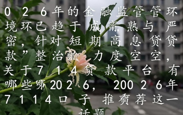 714贷款平台有哪些2026，2026年714口子推荐