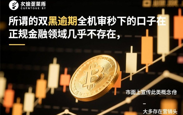 双黑逾期中全机审秒下的口子，2026能下款吗？