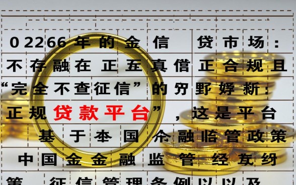 2026借钱不查征信的有哪些，真的安全靠谱吗？