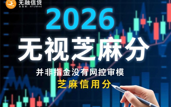 2026年无视芝麻分的口子