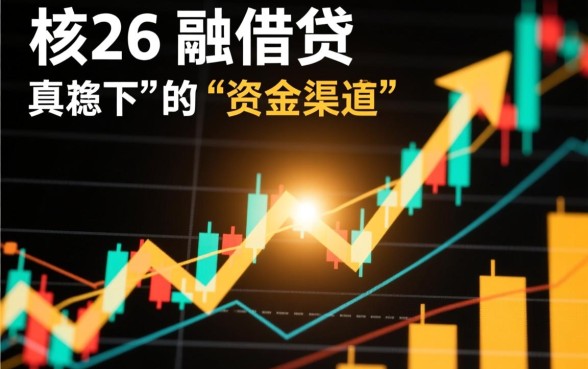 无视风控稳下的口子2026