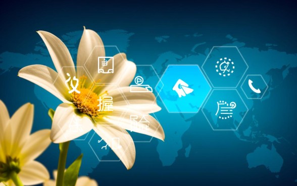 征信花也能下款的口子2026，怎么申请通过？