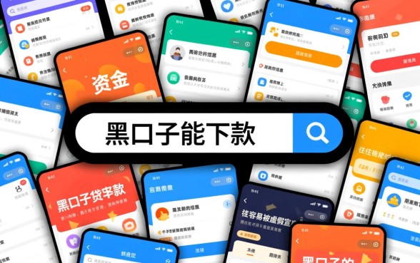 有哪些黑口子能下款的贷款平台，2026最新不查征信秒批口子有哪些