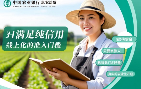 惠农e贷需要什么条件好下款吗