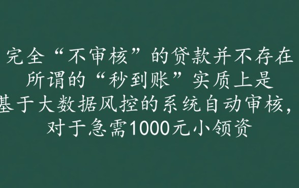 不审核直接放款1000的平台有哪些，不用审核的网贷真的安全吗