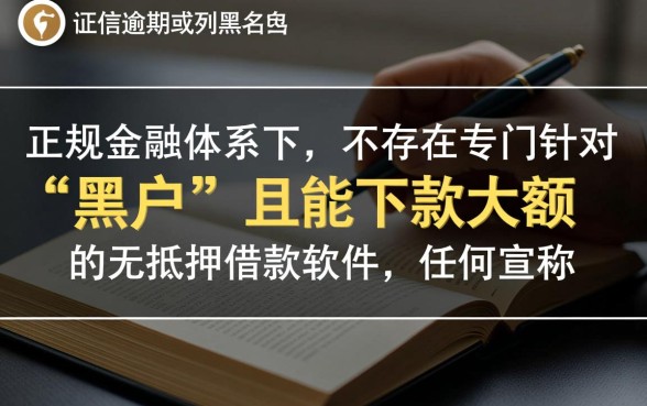 有什么软件黑户可以借款很多的？黑户哪里能借到大额贷款？