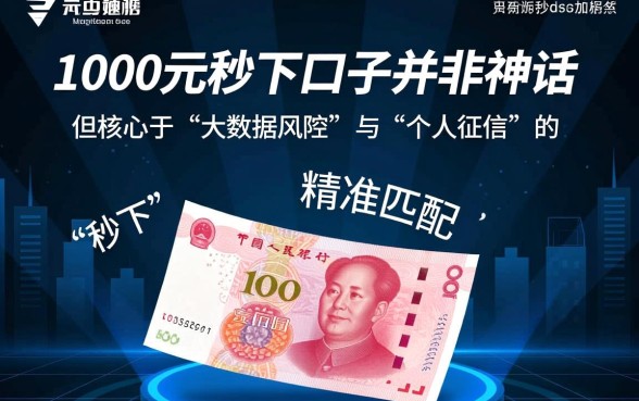 1000元秒下口子在哪里，哪个平台容易通过？