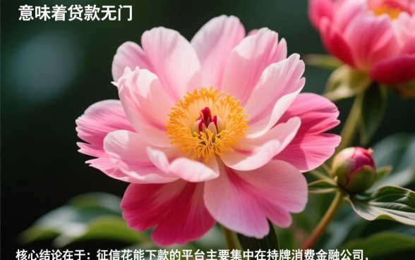 征信花能下款的平台有哪些